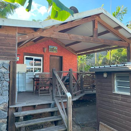 La Bananeraie Apt 35M2 Piscine Jardin Tropical Parking Prive Saint-Leu Exteriér fotografie