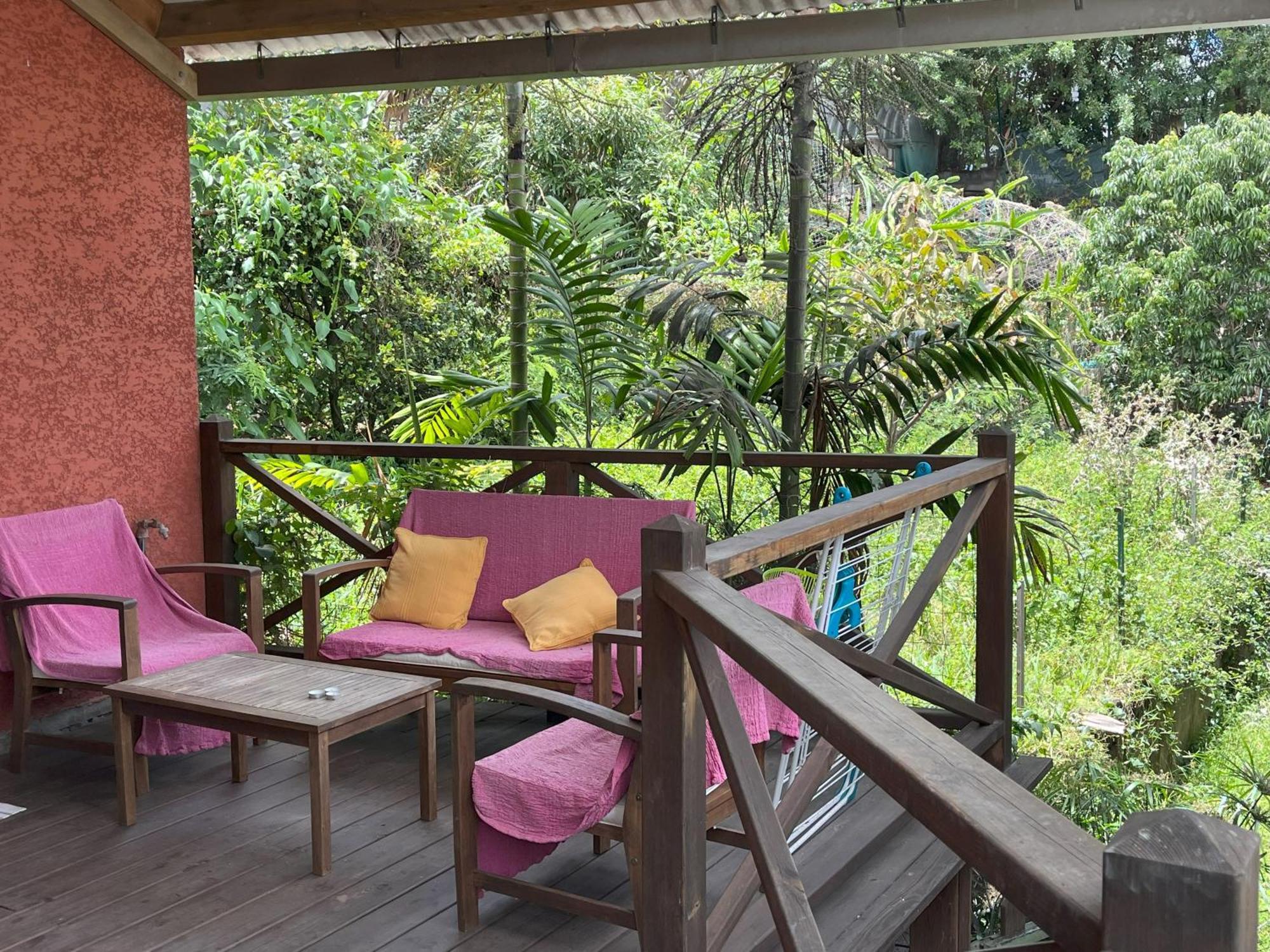 La Bananeraie Apt 35M2 Piscine Jardin Tropical Parking Prive Saint-Leu Exteriér fotografie