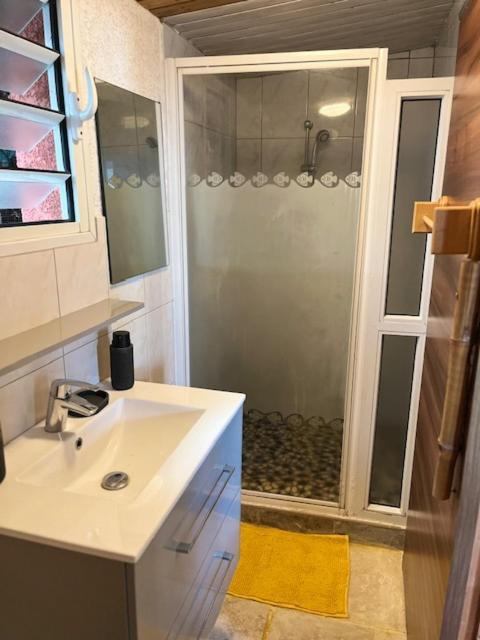 La Bananeraie Apt 35M2 Piscine Jardin Tropical Parking Prive Saint-Leu Exteriér fotografie