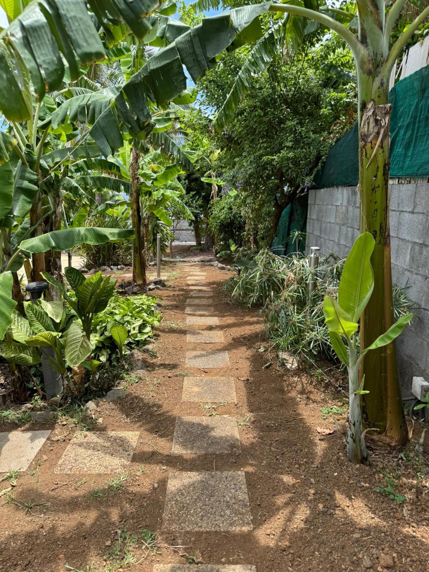 La Bananeraie Apt 35M2 Piscine Jardin Tropical Parking Prive Saint-Leu Exteriér fotografie