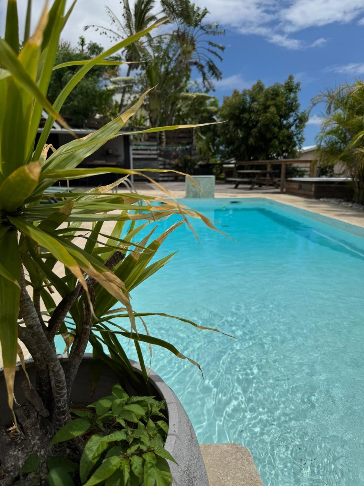 La Bananeraie Apt 35M2 Piscine Jardin Tropical Parking Prive Saint-Leu Exteriér fotografie