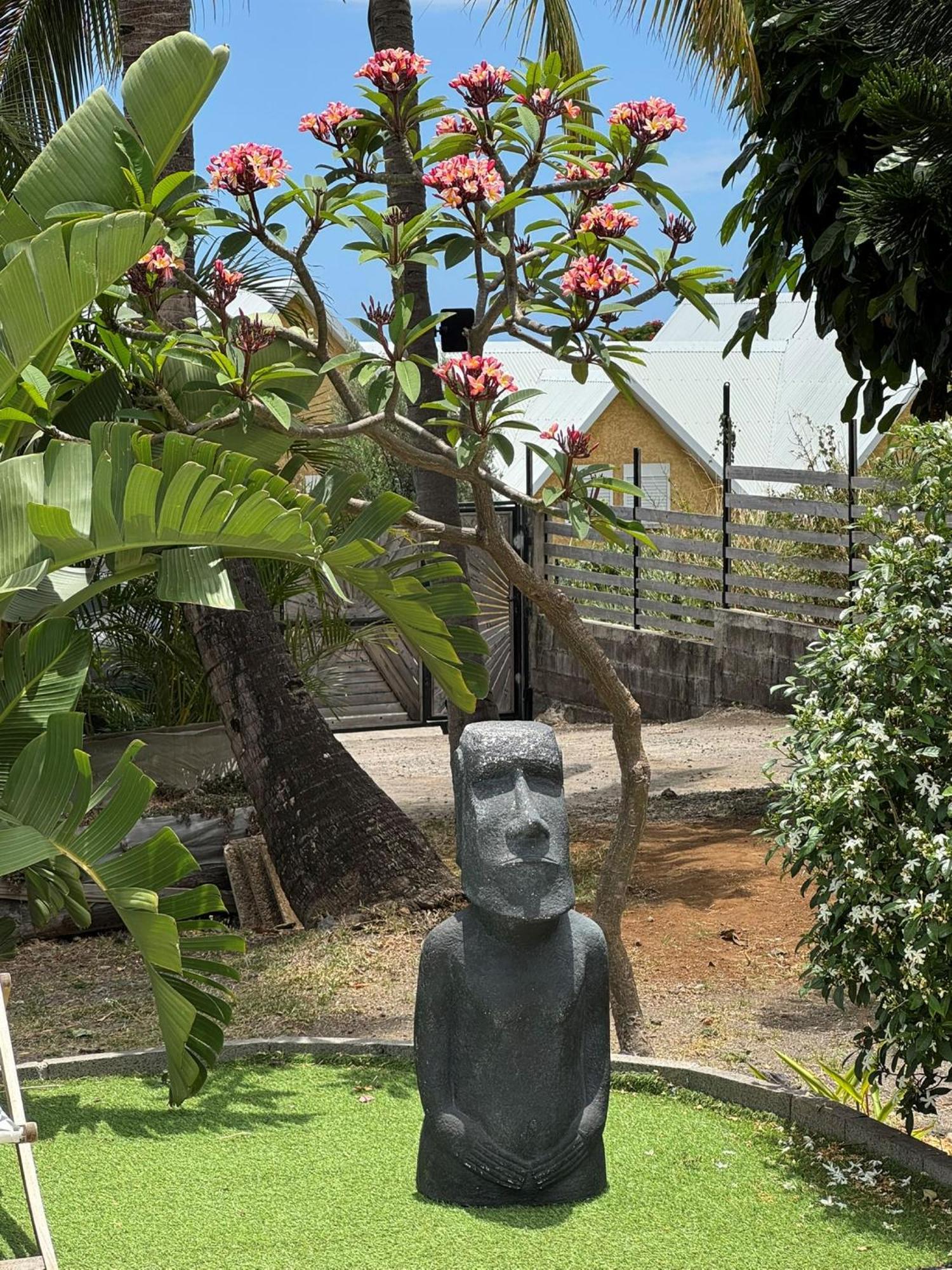La Bananeraie Apt 35M2 Piscine Jardin Tropical Parking Prive Saint-Leu Exteriér fotografie