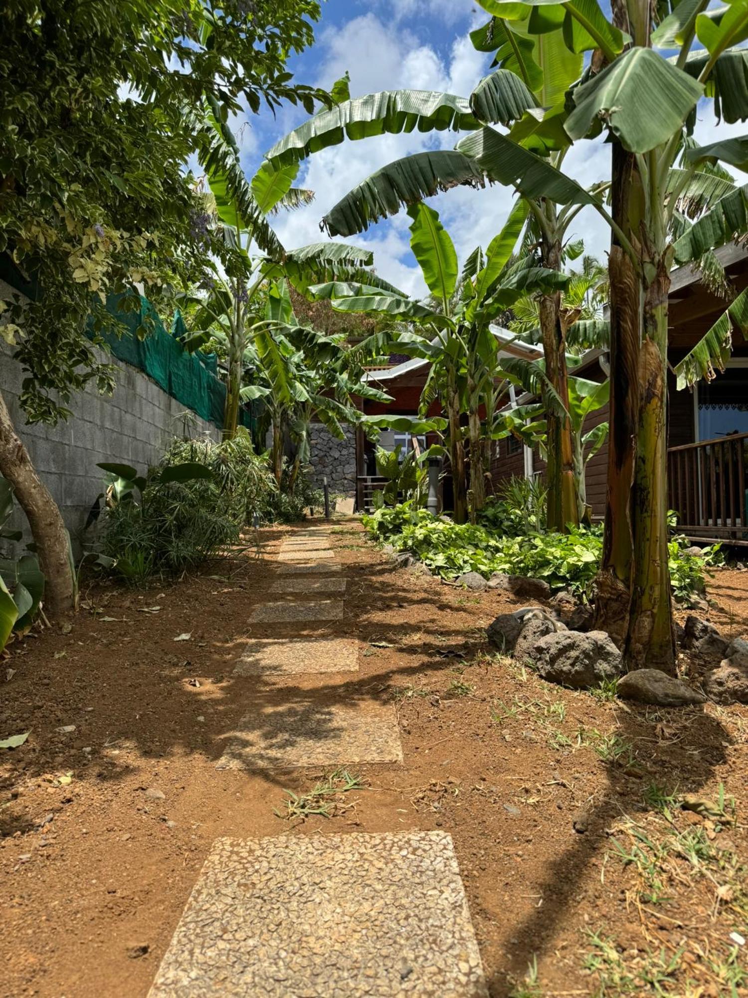 La Bananeraie Apt 35M2 Piscine Jardin Tropical Parking Prive Saint-Leu Exteriér fotografie